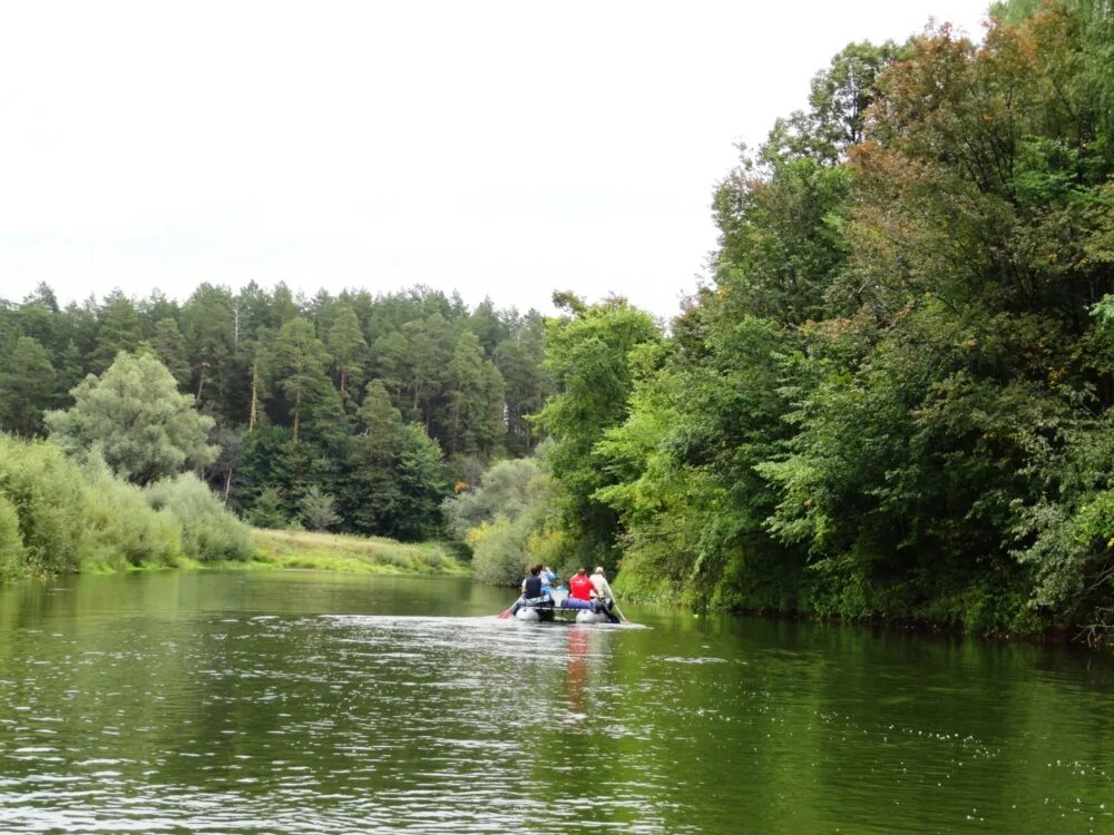 Исток реки иж в удмуртии. Река иж агрыз. Притоки реки иж. Река иж агрыз. Иж (приток камы).