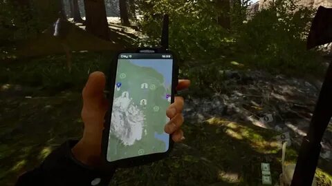 The forest патроны