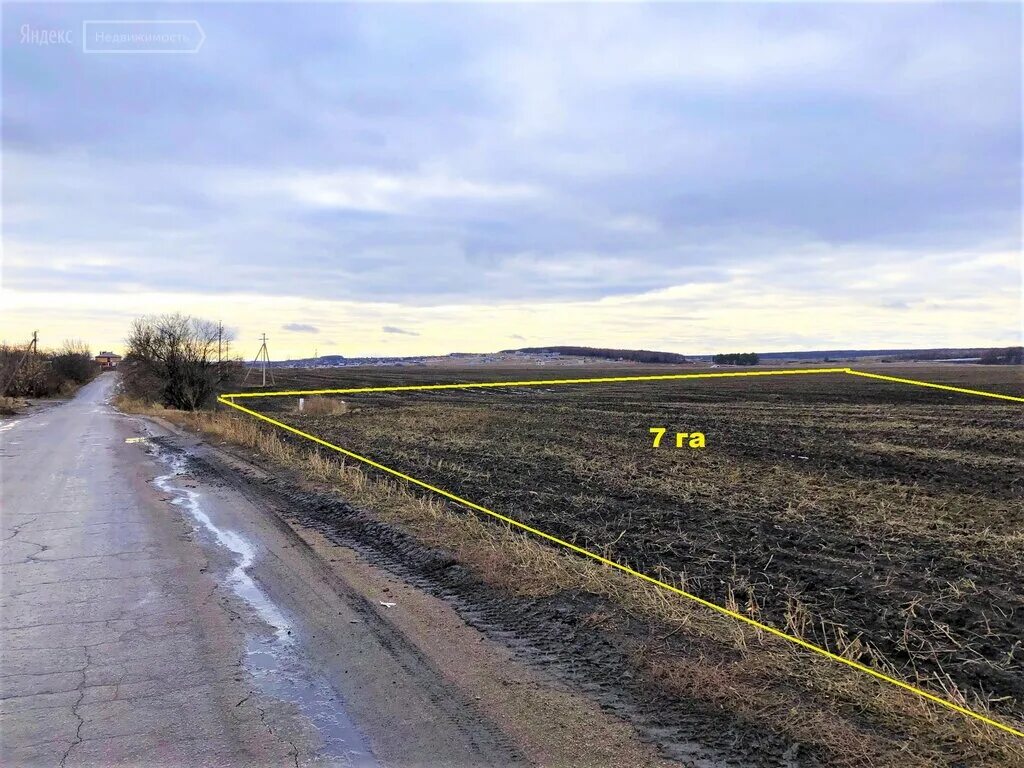 Семь га
