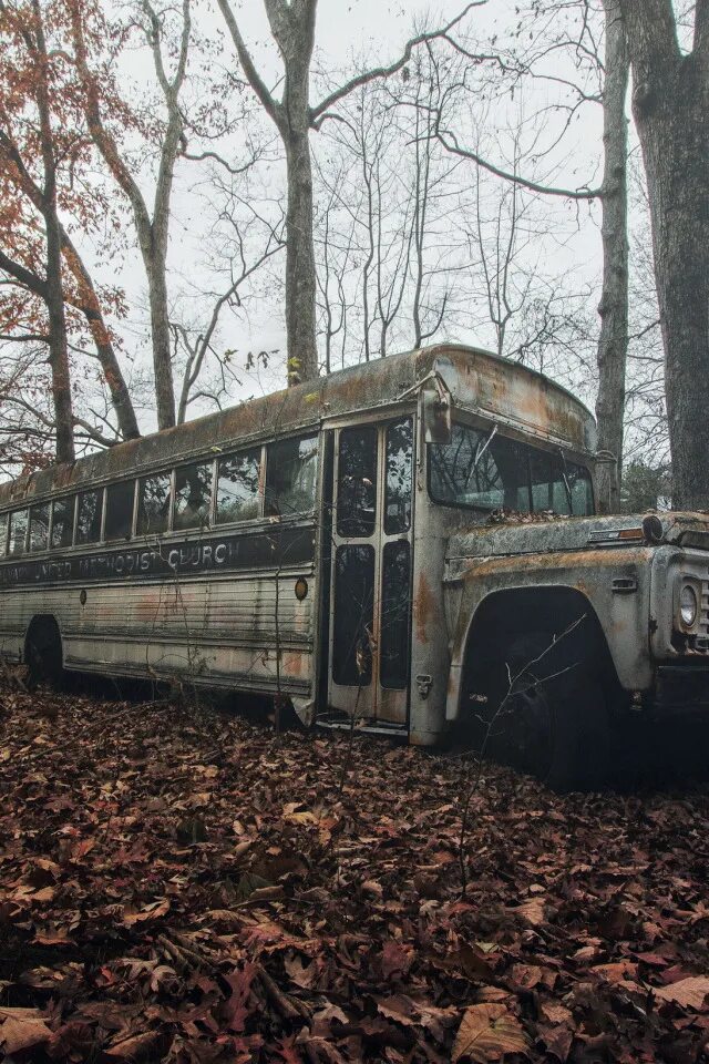 Leave a bus. The bus leaves. Bus leaves. Школьный автобус в германии. Leaf автобус.