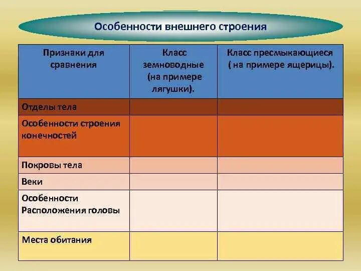 Таблица внешнее строение ящерицы и птицы. Пресмыкающиеся строение покровов тела. Внешнее строение пресмыкающихся таблица. Внешнее строение и покровы пресмыкающихся. Расположение конечностей у земноводных и пресмыкающихся.