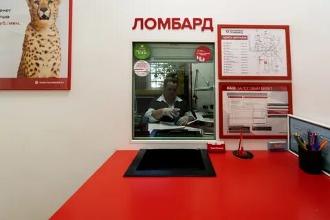 Ломбард кот