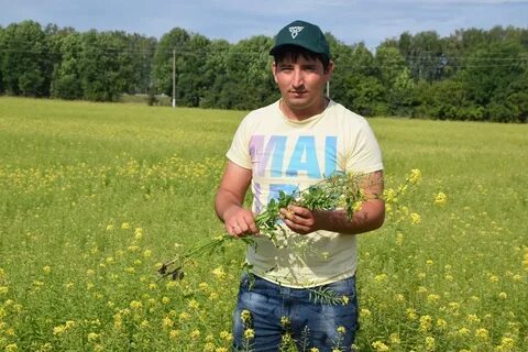 Р н коротких