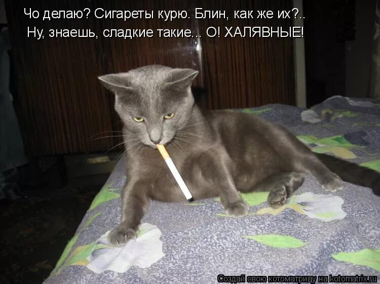 Что делать чтоб не пил. Чтоб не пил не курил. чтоб не пил не курил и цветы. текст песни чтоб не пил не курил. не пил.