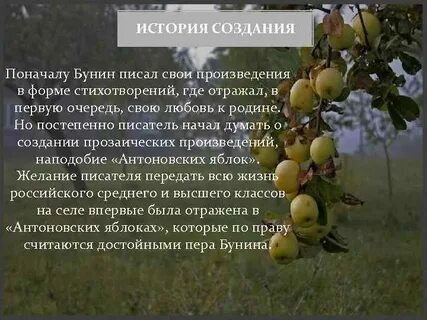 Яблоко от яблони рассказ