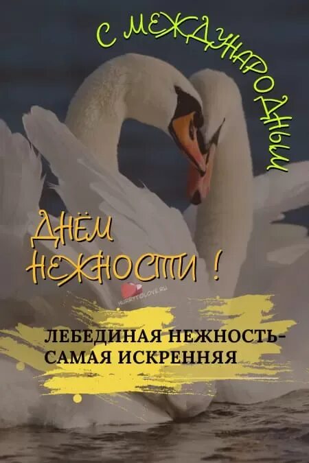 День нежности картинки 3 февраля прикольные. День нежности картинки 3 февраля прикольные. Международный день нежности 3 февраля. Поздравления с международным днем нежности. Поздравить с днем нежности.