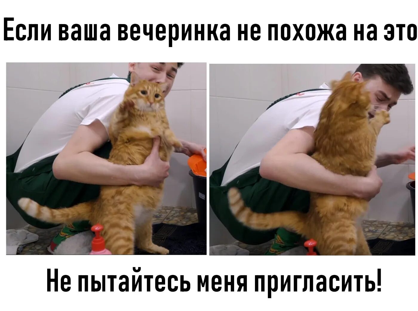 Ничем не похожий