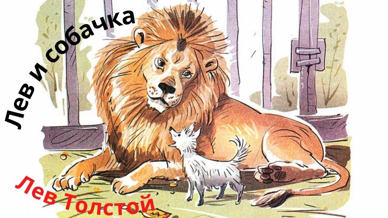 Л толстой рассказы лев и собачка. Л толстой рассказы лев и собачка