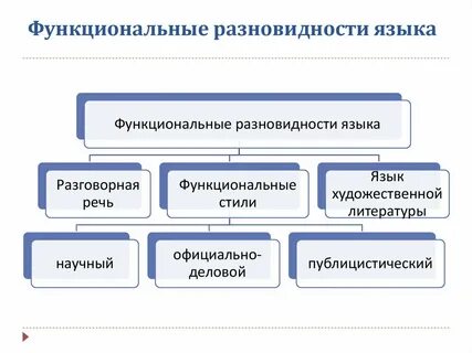 Какие бывают функциональные разновидности языка в русском