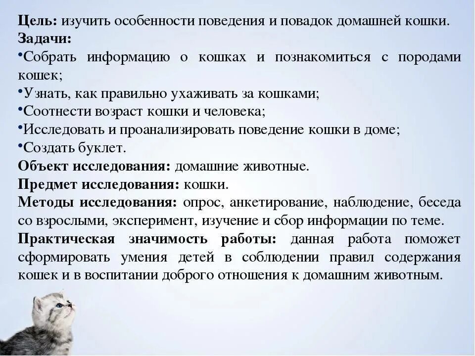 Особенности поведения кошек. Поведение домашних животных. Проанализировать поведение кошки. Привычки и повадки котов.