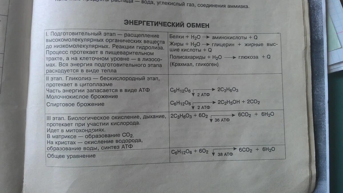 Характерные изменения вещества