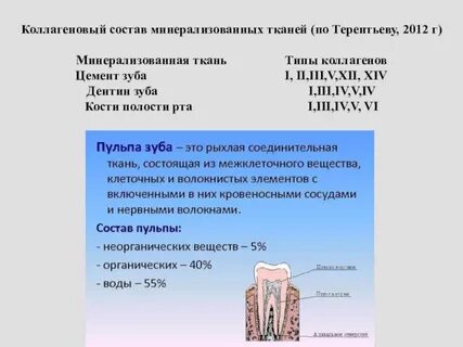 Межклеточного вещества в виде минерализованных пластинок