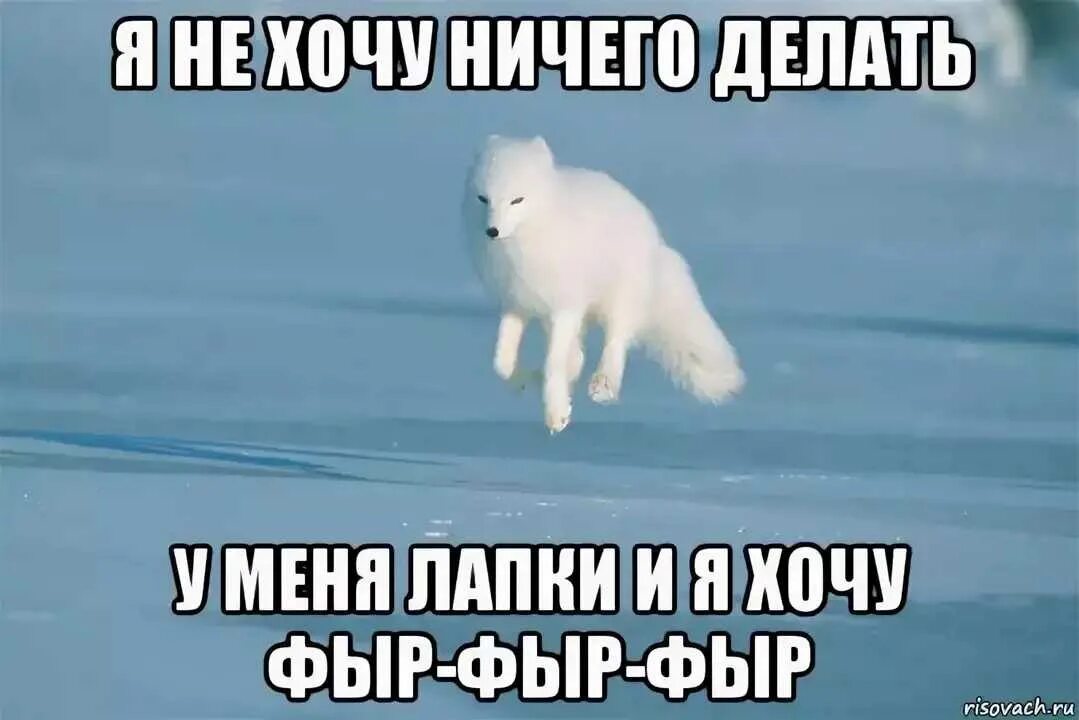 Что делать если у тебя нет интернета