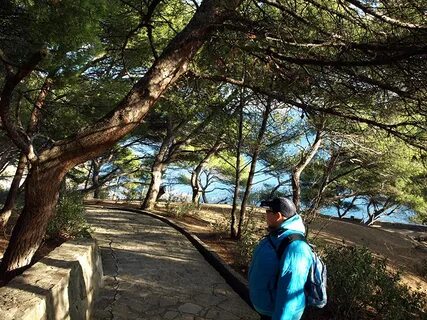 Прогноз алупка