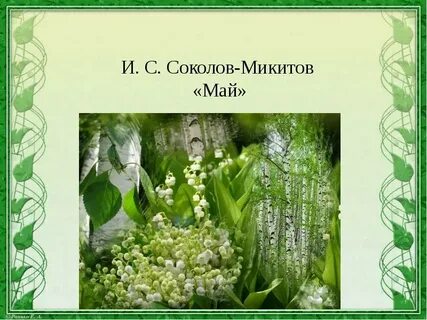 Май сокол