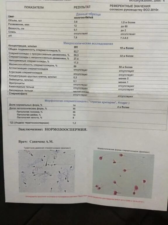 Смарт тест спермограмма. Спермограмма в отто. тест на спермограмму. анализ mar тест спермограмма. мазок спермограмма.