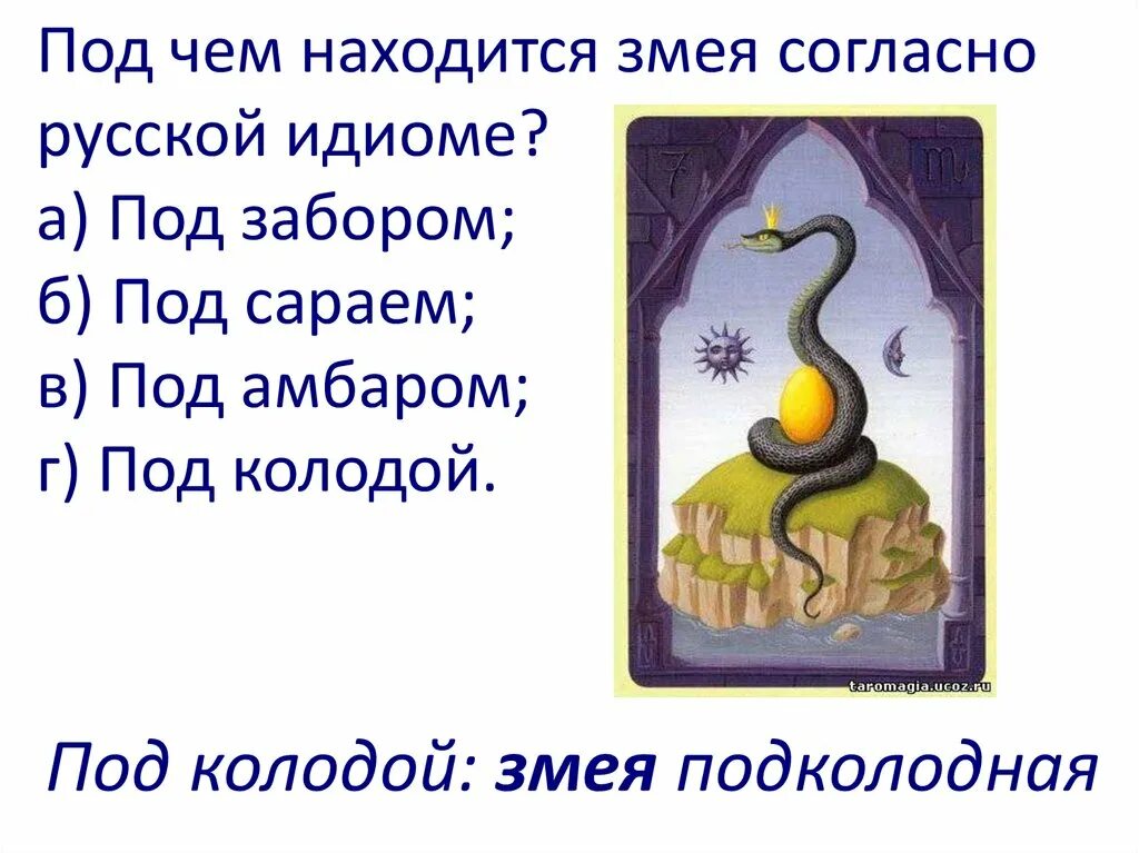 Ты прости что я такая подколодная змея. Змея подколодная значение. Змея под колодой. - Змея.( Согласно мифологии змея символ мудрости или бессмертия). Почему змея подколодная.