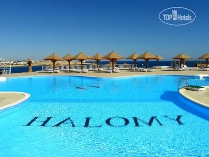 Grand halomy resort отзывы