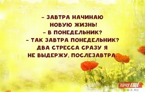 Но каждый день каждый