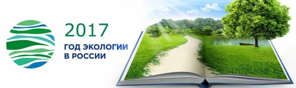 Год экологии школа. Год экологии. 2017 Год экологии в России. Год экологии в России. Эмблема года экологии в России 2017.