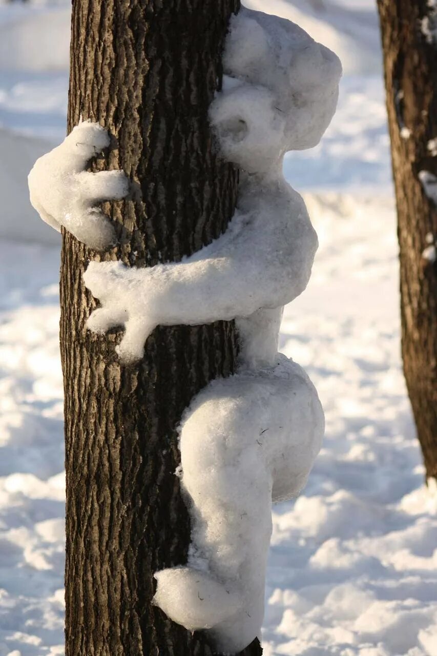 Смешная зима. Снежное настроение. Снеговик на дереве из снега. Приколы про зиму. Снег смешная картинка