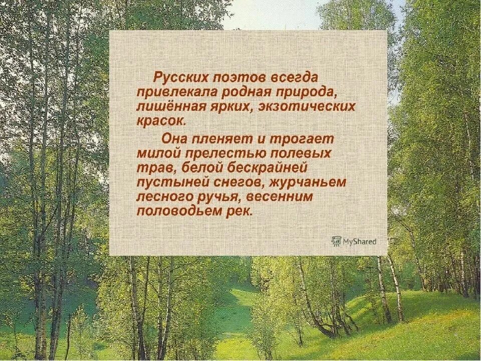 Стихотворение в родной поэзии. Природа в русской поэзии. Родная природа в русской поэзии. Стихи о родине и родной природе. Поэзия родной природы стихи.