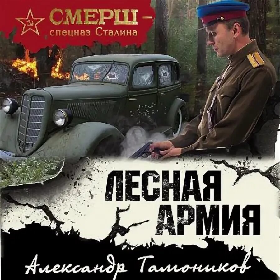 Аудиокнига спецназовец попал в 1941