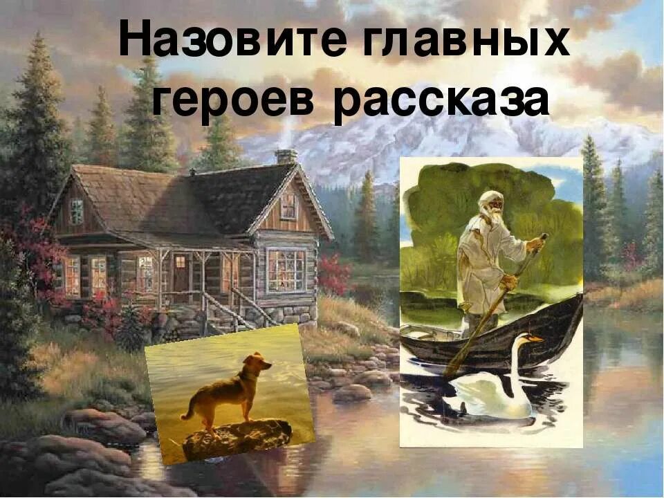 Произведение д н мамина сибиряка серая шейка. Д мамин-сибиряк приёмыш главная мысль рассказа. Приёмыш мамин сибиряк краткое содержание пересказ. Приёмыш мамин сибиряк план. Н.