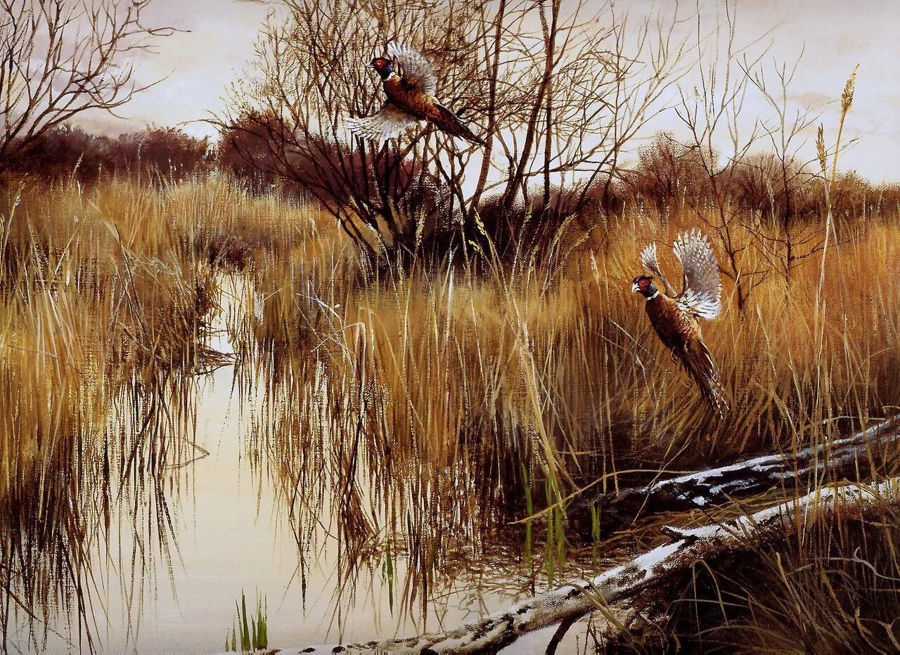Картина охота. Художник Pieter Verstappen. Охота в живописи. Природа и охота. Охотничьи пейзажи.