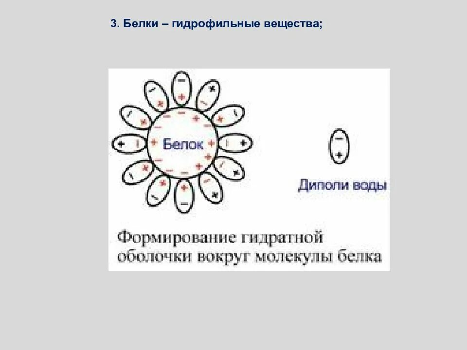 Гидратная оболочка. Гидратная оболочка белков. гидратная оболочка схема. формирование гидратной оболочки. гидроцеанная оболочка.