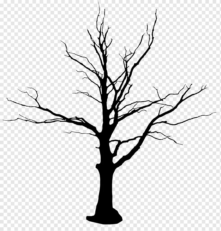 Empty branch