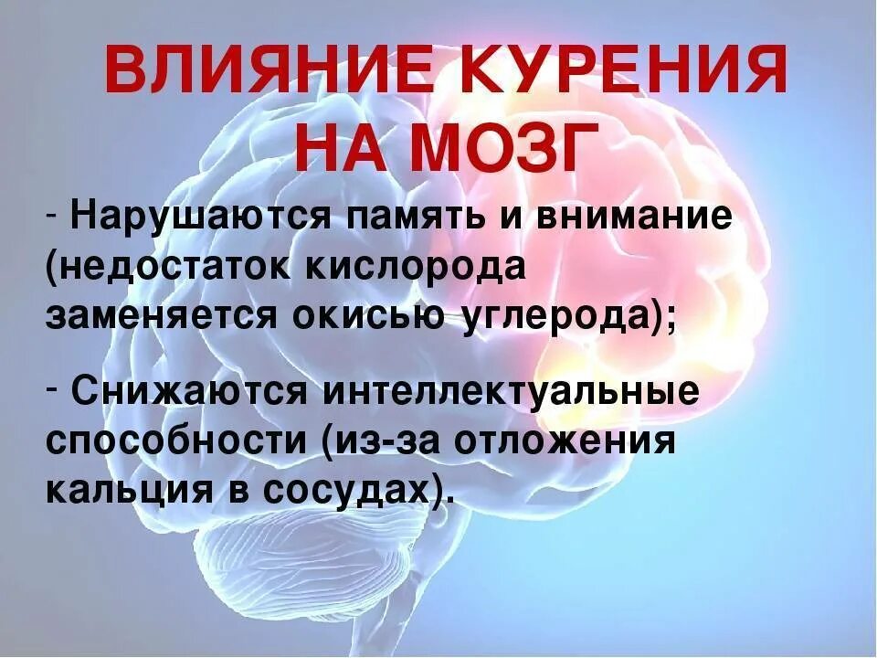 Никотин влияет на мозг. Влияние курения на память. Воздействие на мозговую деятельность курения. Влияет ли телефон на память