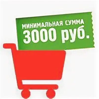 Заказ от 3000 рублей