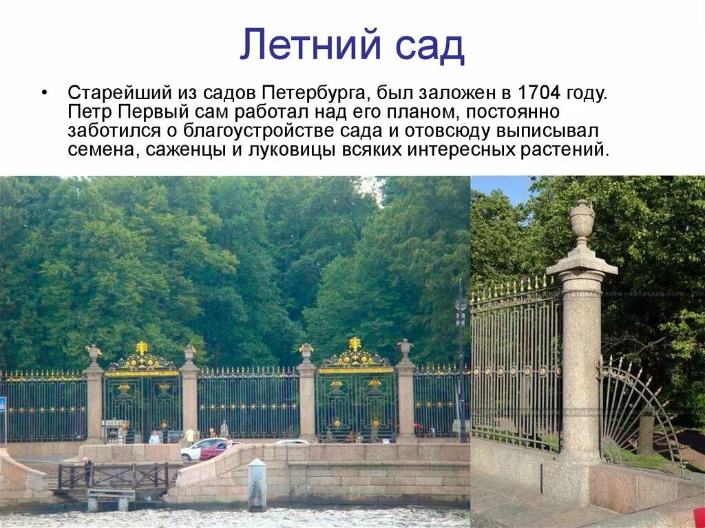 Летний сад в Санкт-Петербурге. Летний сад Петра 1. Санкт-Петербург летний сад 1910 год. Летний сад Санкт-Петербург 1704 год. Стихотворение летний сад