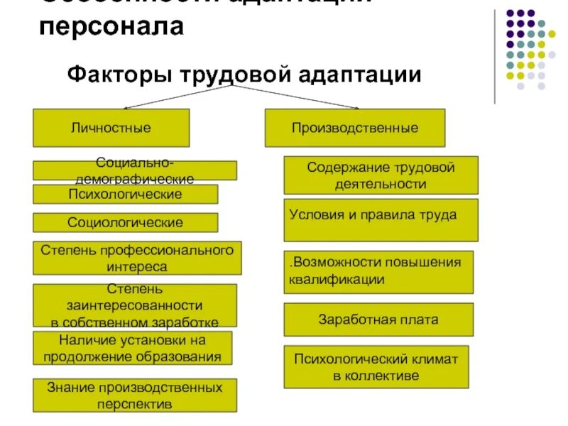 Личностные факторы трудовой адаптации. Факторы адаптации персонала. Факторы адаптации персонала в организации. Особенности адаптации персонала.