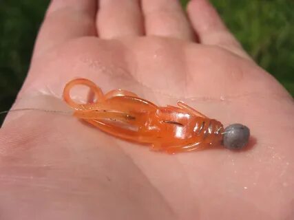 Включи приманка