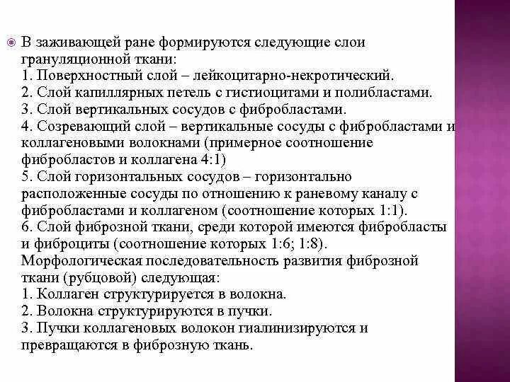 Функции грануляционной ткани. Слои грануляционной ткани рисунок. Механизм образования грануляционной ткани. Грануляционная ткань гистология. Строение грануляционной ткани.