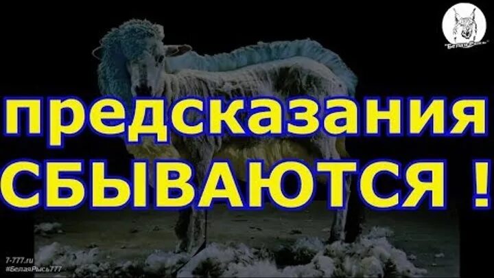 Предсказанное сбылось. Предсказания сбываются. Пророчество сбылось. Пророчество сбылось Мем. В последствии предсказание сбылось.