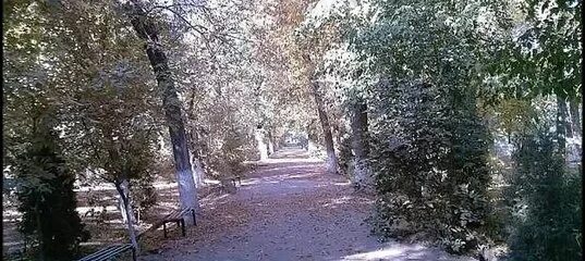 Сурхрндарё шурчи. Шурчи базар. Шурчи фото. Шурчи. Синоптик шурчи.