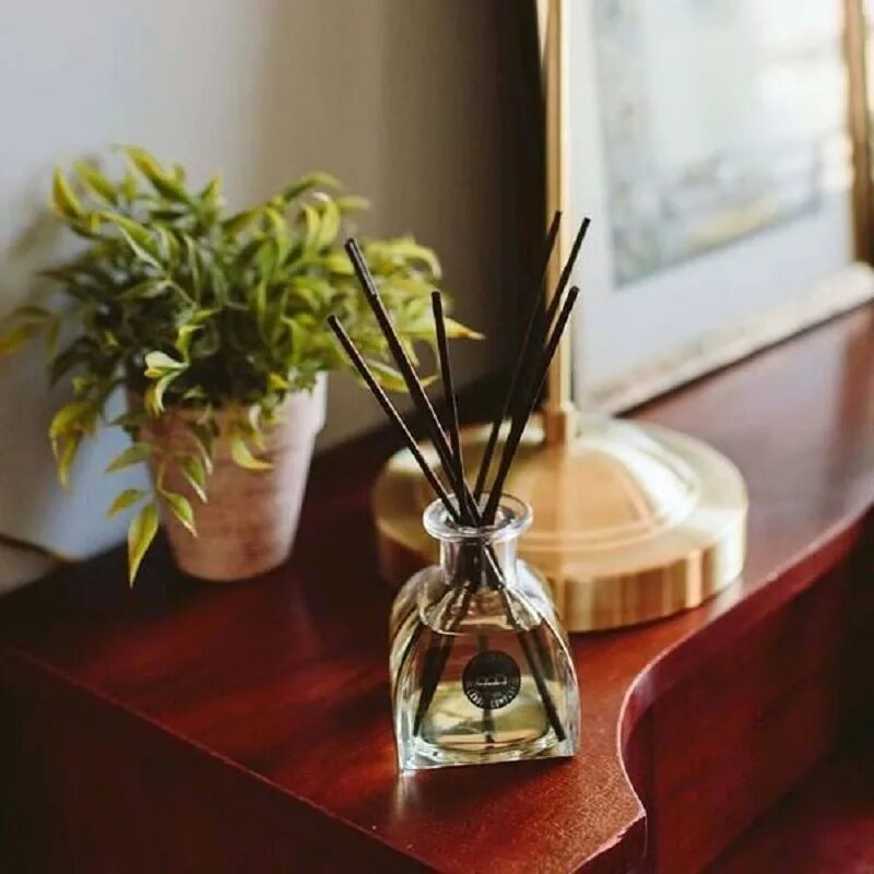 Диффузор увлажнитель дотерра. Работа аромадиффузора. Диффузор лепесток 2. Аромадиффузор дотерра. 0 дотерра.