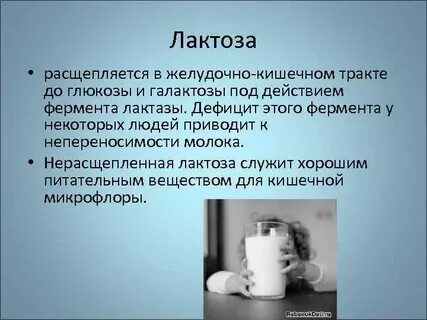 Вред лактозы