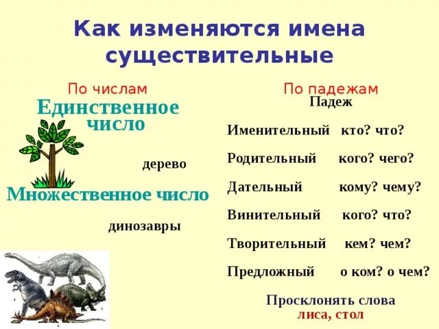 Изменение существительных. Как изменяются имена существительные. Как изменяется имя существительное. Как изменяется имя существительное 4 класс. Как изменяется имя существительное по числам.