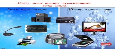 Бір қыз екіншісін белдікпен трахает етеді