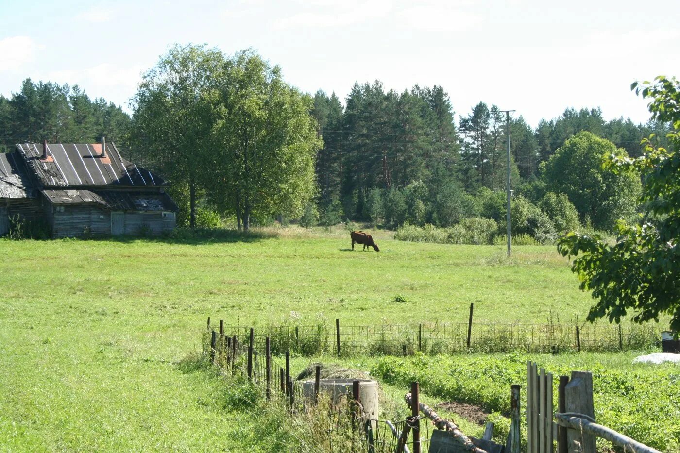 Деревня россия новгородской области. Деревня Паршино Новгородская область Валдайский район. Деревня Яжелбицы. Деревня сухая Нива Новгородская область Валдайский район. Деревня Паршино Валдайского района.