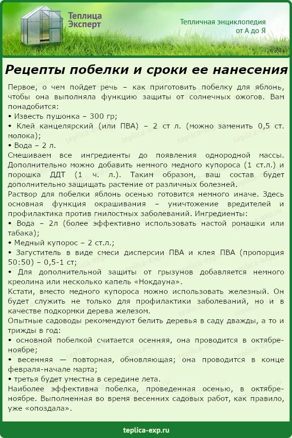 Как гасить известь для побелки деревьев. Раствор для побелки деревьев. Побелка для деревьев рецептура. Развести известь для побелки деревьев. Пропорции извести для побелки деревьев.