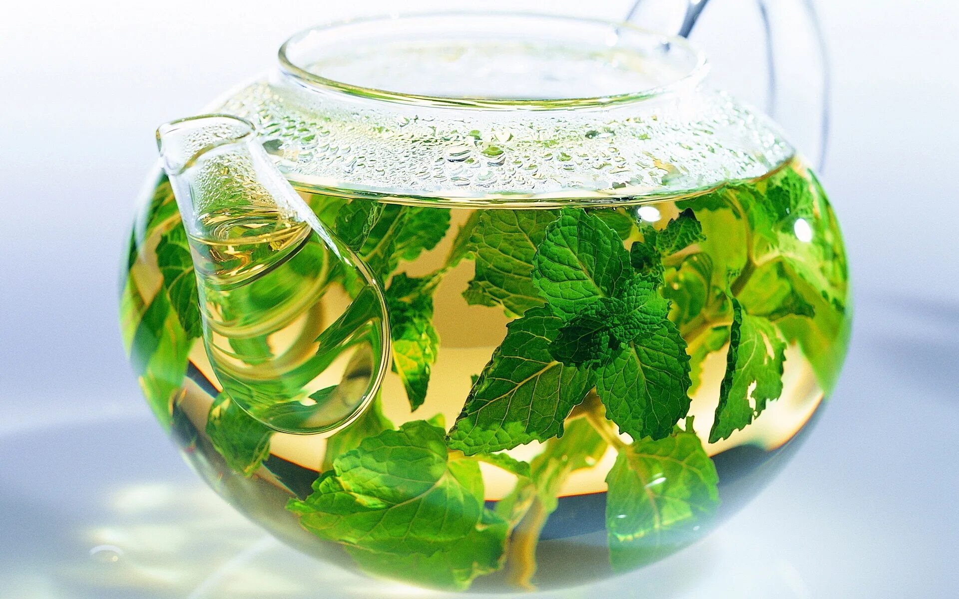 Фитобар мята. Мята перечная фитотерапия. Чай с мятой. Мятный зеленый чай.