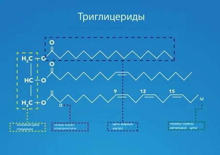 Кратчайшая цепь