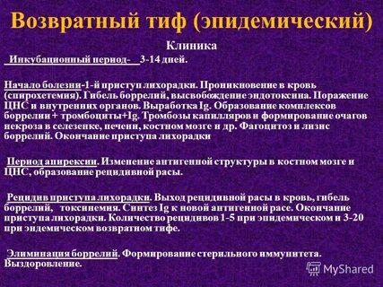 Возвратный тиф