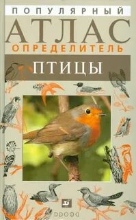 Атлас определитель 2 класс птицы