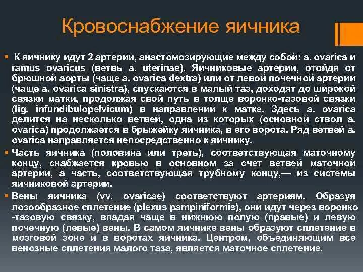 Кровоснабжение яичников. Кровоснабжение яичников. Лимфоотток от яичников. Иннервация мочевого пузыря схема. Дорсальный венозный комплекс предстательной железы.